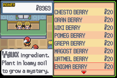 pokemon light platinum baya enigma